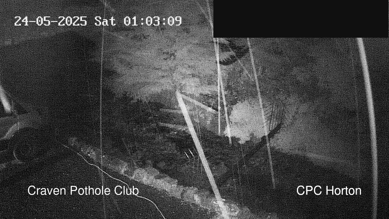 time-lapse frame, HortonBrantsGillCam webcam