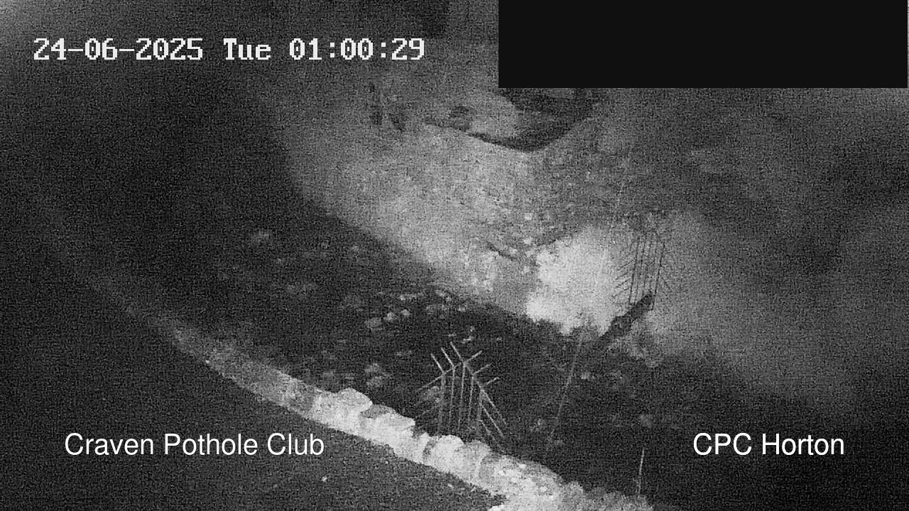 time-lapse frame, HortonBrantsGillCam webcam