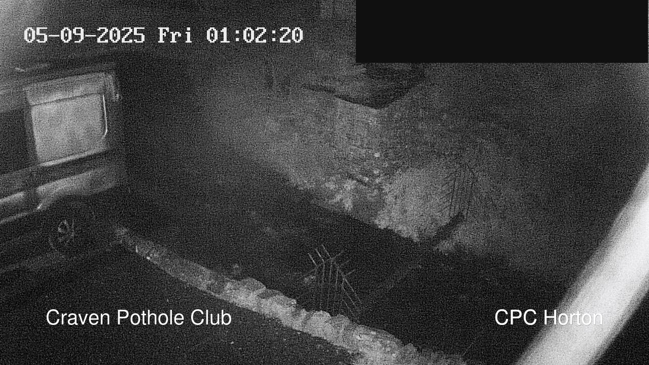 time-lapse frame, HortonBrantsGillCam webcam