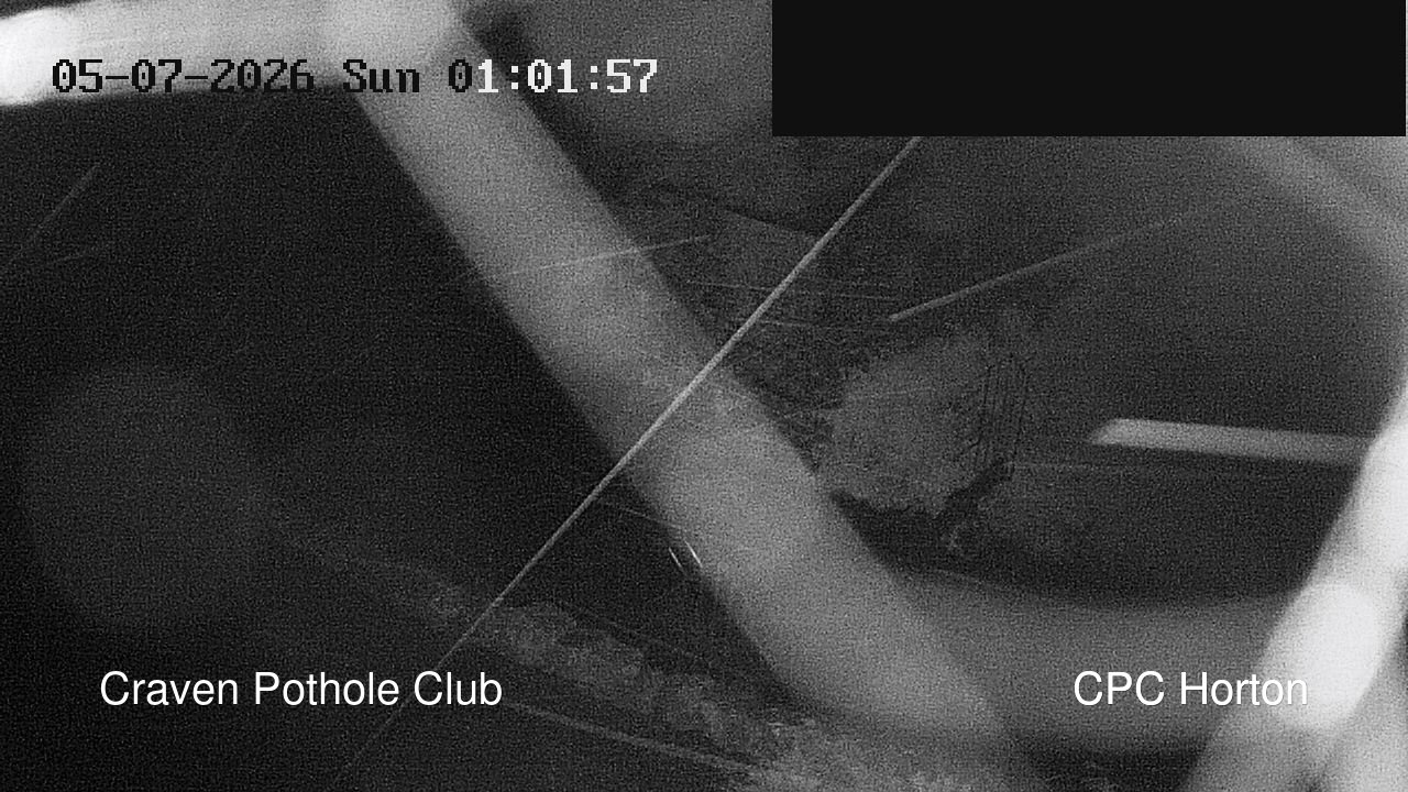 time-lapse frame, HortonBrantsGillCam webcam