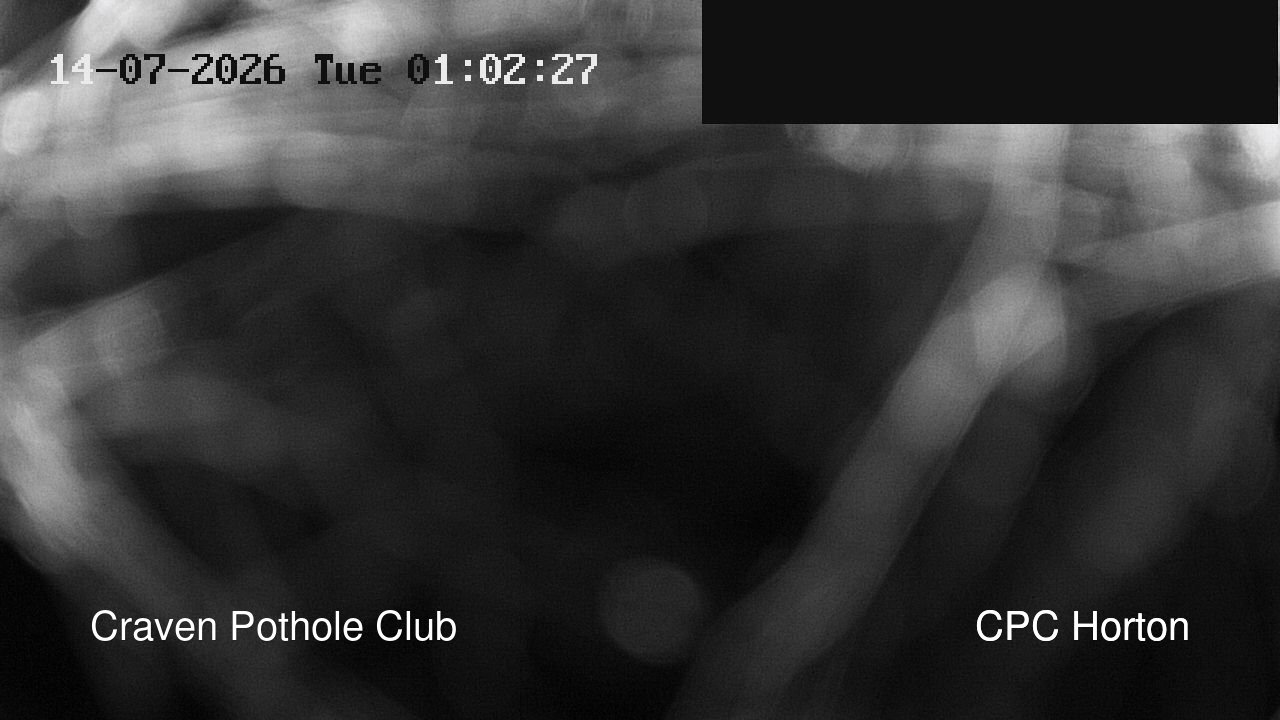 time-lapse frame, HortonBrantsGillCam webcam