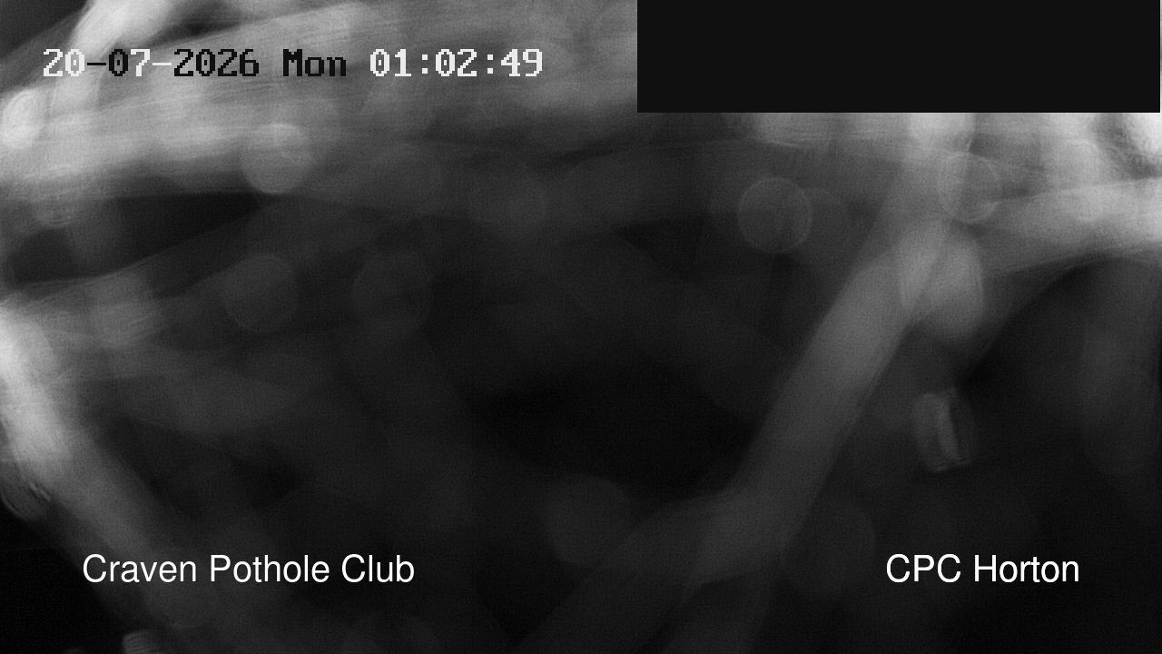 time-lapse frame, HortonBrantsGillCam webcam