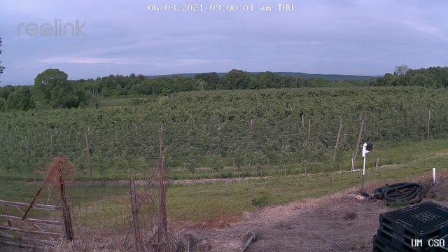 time-lapse frame, UM CSO webcam