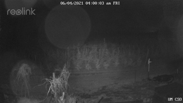 time-lapse frame, UM CSO webcam