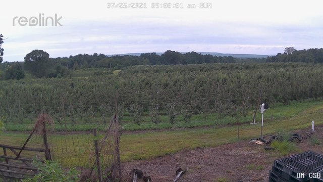 time-lapse frame, UM CSO webcam