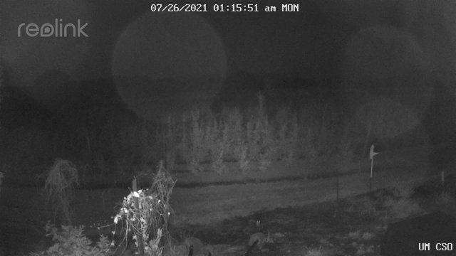 time-lapse frame, UM CSO webcam