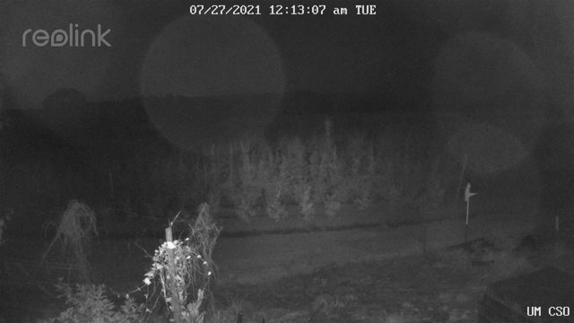 time-lapse frame, UM CSO webcam