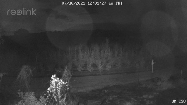 time-lapse frame, UM CSO webcam