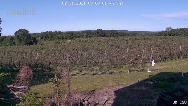 time-lapse frame, UM CSO webcam