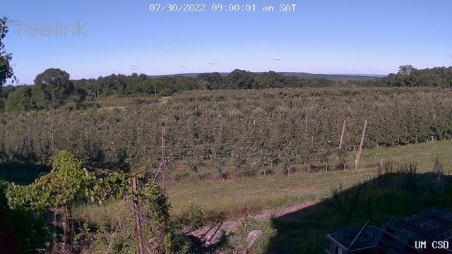 time-lapse frame, UM CSO webcam
