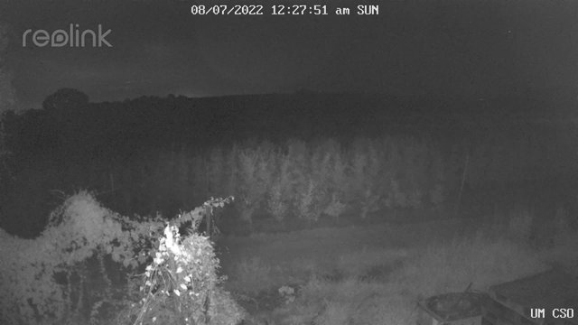 time-lapse frame, UM CSO webcam