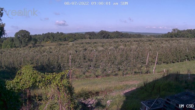 time-lapse frame, UM CSO webcam