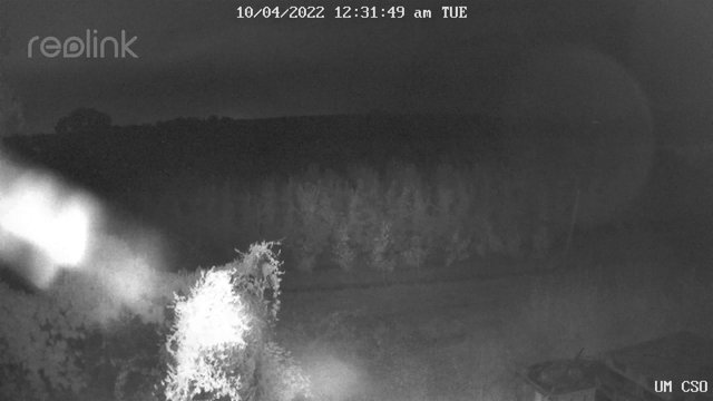 time-lapse frame, UM CSO webcam