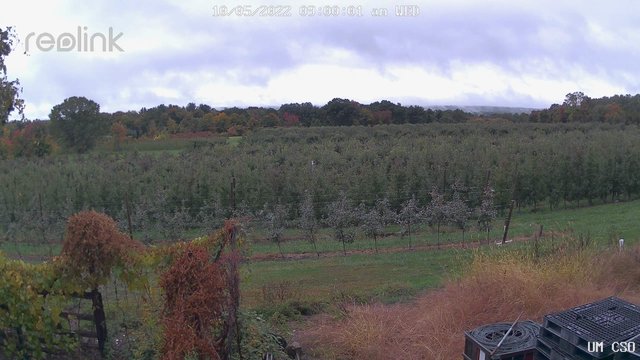time-lapse frame, UM CSO webcam