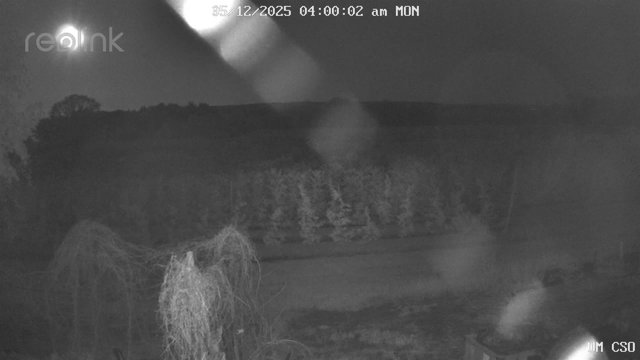 time-lapse frame, UM CSO webcam