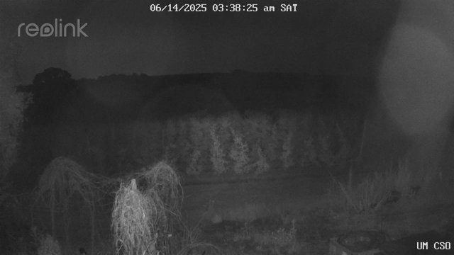 time-lapse frame, UM CSO webcam