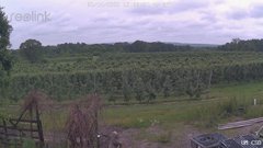 view from UM CSO on 2025-06-14