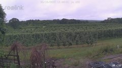 view from UM CSO on 2025-06-18