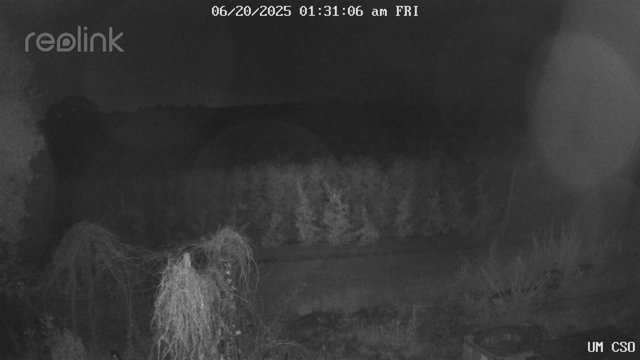 time-lapse frame, UM CSO webcam