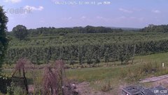 view from UM CSO on 2025-06-23