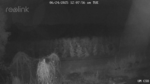 time-lapse frame, UM CSO webcam