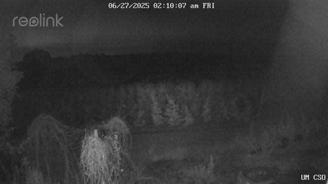 time-lapse frame, UM CSO webcam