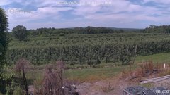 view from UM CSO on 2025-06-30