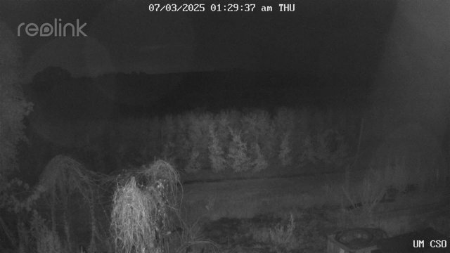 time-lapse frame, UM CSO webcam