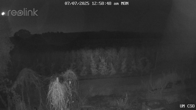 time-lapse frame, UM CSO webcam