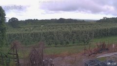 view from UM CSO on 2025-07-08