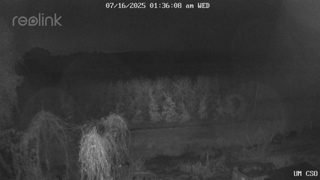 time-lapse frame, UM CSO webcam