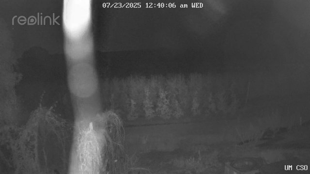 time-lapse frame, UM CSO webcam