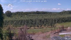 view from UM CSO on 2025-07-23
