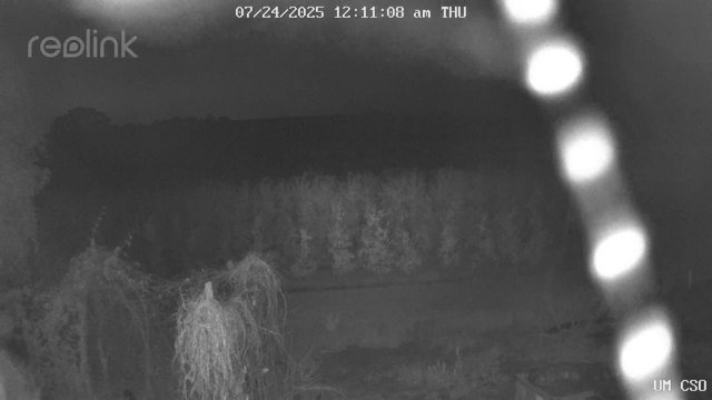 time-lapse frame, UM CSO webcam