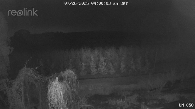 time-lapse frame, UM CSO webcam