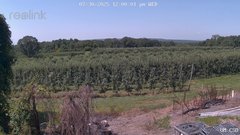 view from UM CSO on 2025-07-30
