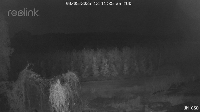 time-lapse frame, UM CSO webcam