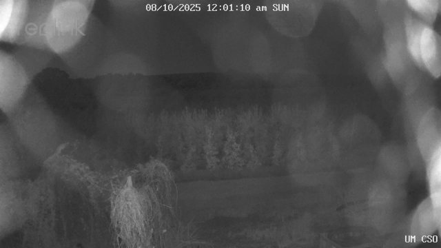 time-lapse frame, UM CSO webcam