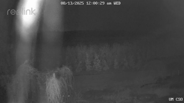 time-lapse frame, UM CSO webcam