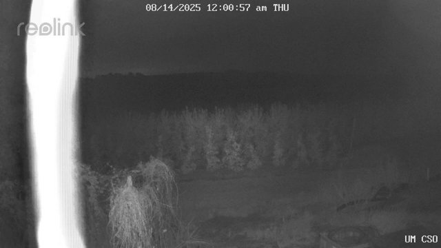 time-lapse frame, UM CSO webcam