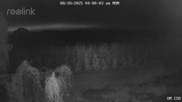 time-lapse frame, UM CSO webcam