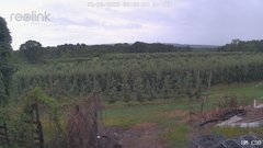 view from UM CSO on 2025-08-20