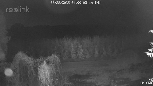 time-lapse frame, UM CSO webcam