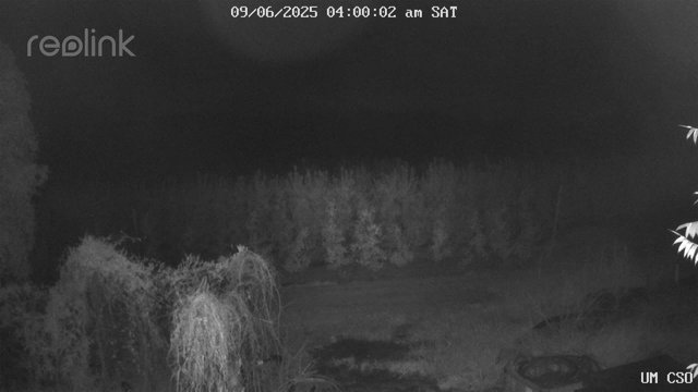time-lapse frame, UM CSO webcam