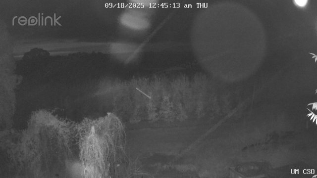 time-lapse frame, UM CSO webcam