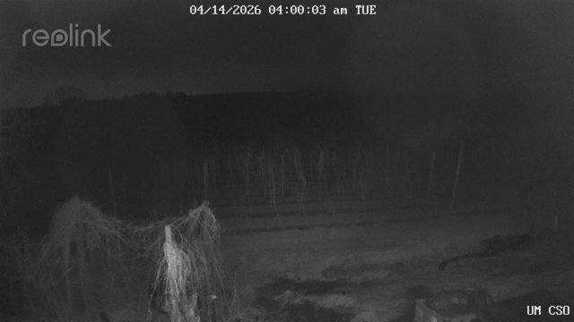 time-lapse frame, UM CSO webcam