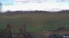 view from UM CSO on 2026-04-17