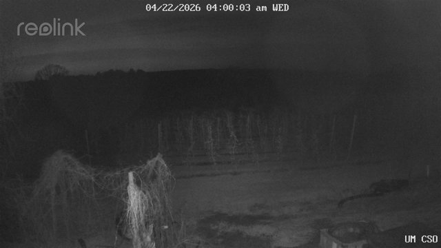 time-lapse frame, UM CSO webcam