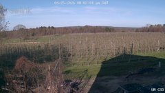 view from UM CSO on 2026-04-25