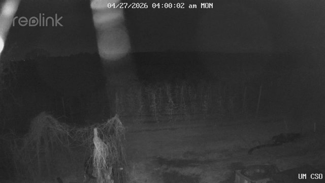 time-lapse frame, UM CSO webcam